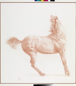 Kicking Off, 1. sorozat, 2011 (kréta papíron)